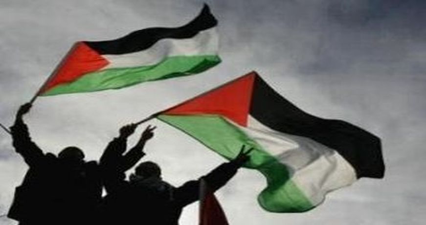 palestine_flags