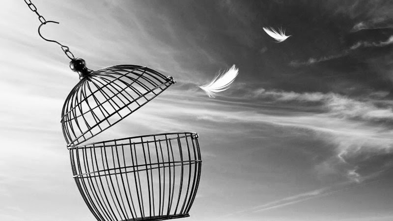 Freedom concept. Escaping from the cage