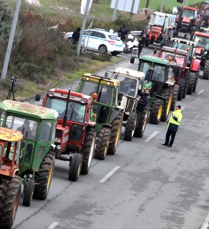 agrotes-nikaia-3-2-14_5