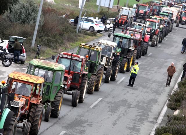 agrotes-nikaia-3-2-14_5