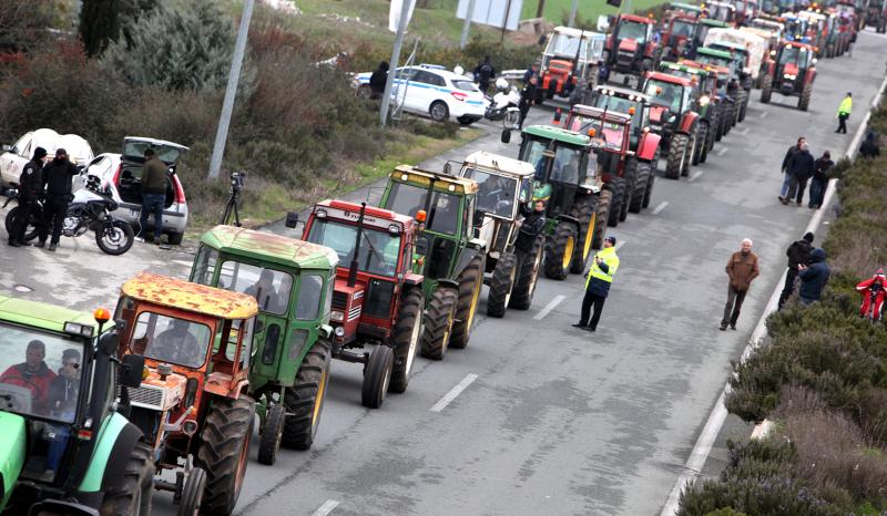 agrotes-nikaia-3-2-14_5