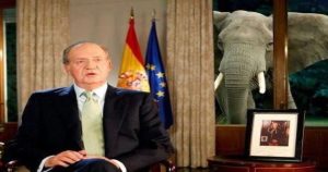 elefant