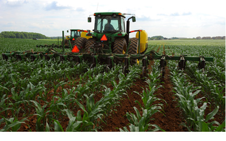Farms3_061
