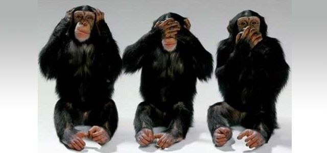 monkeys