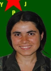 Arin-Mirkan-387x420