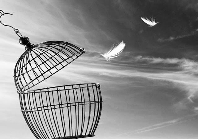 Freedom concept. Escaping from the cage