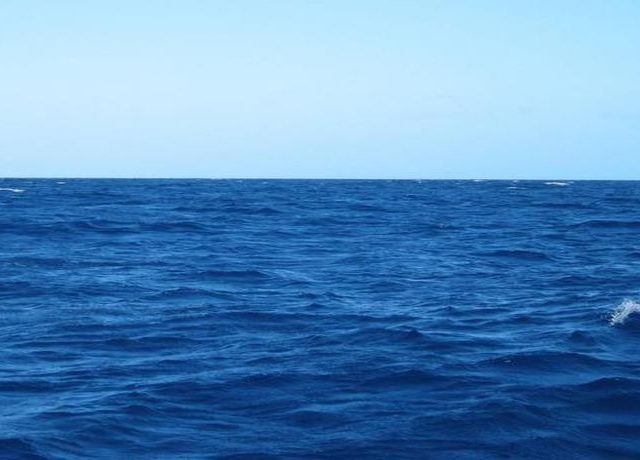 thalassa