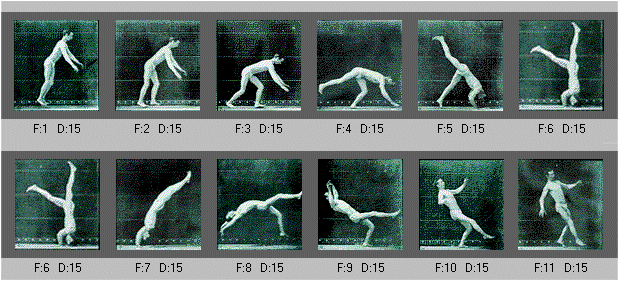 somersault