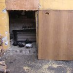 Μέχρι και αυγά περιστεριών καταστρέφει ο τουρκικός στρατός