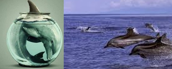 Ιαπωνικά όργια σεξ
