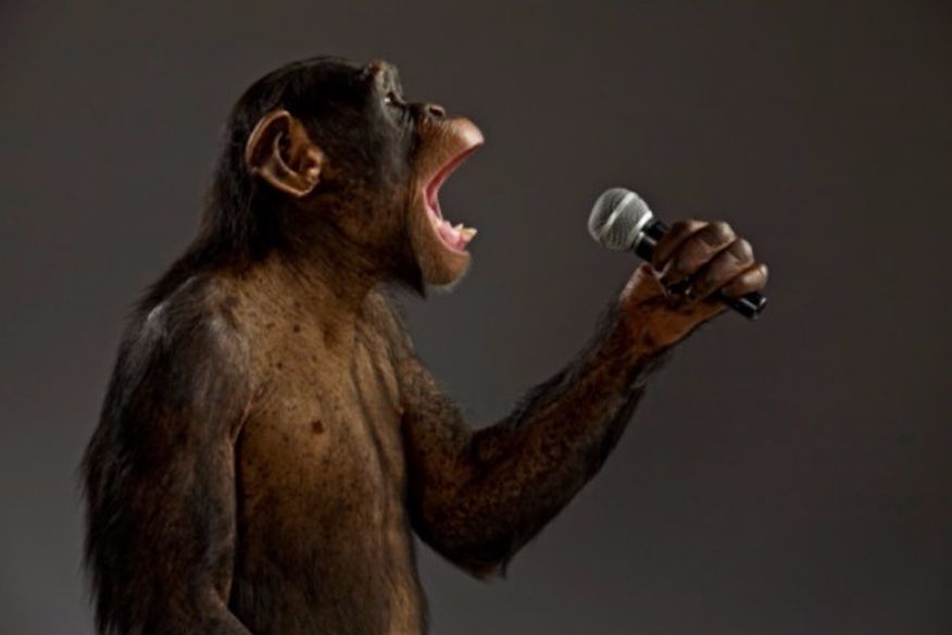 MonkeySing