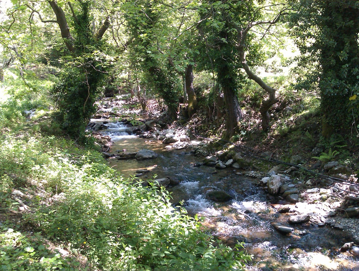 imag0094