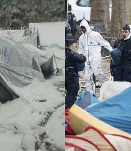 moria parisi
