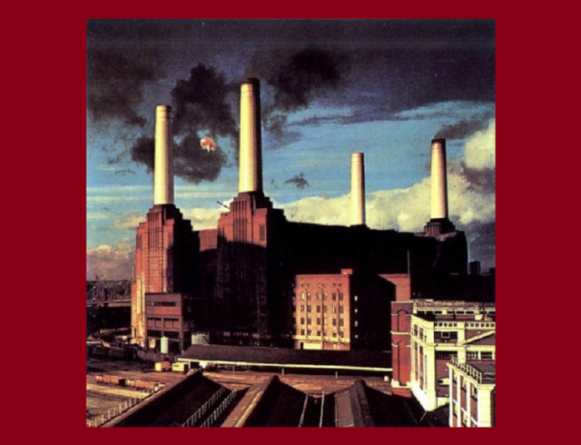 pink floyd animals