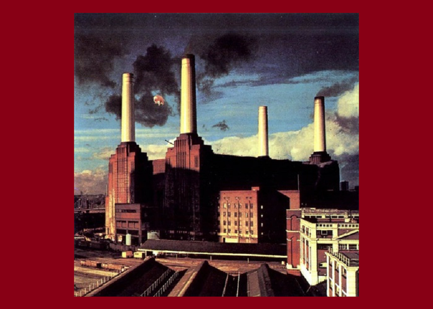 pink floyd animals