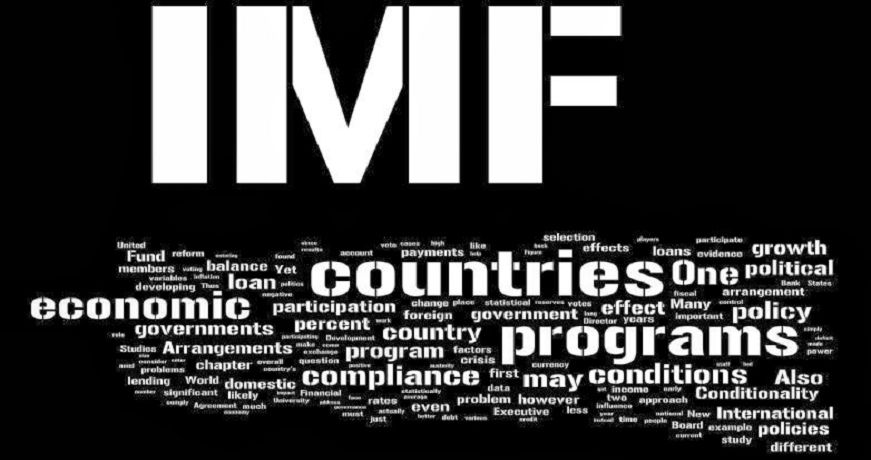 IMF_politics_wordle (1)