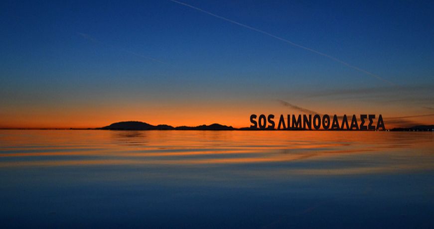 limnothalassa 3