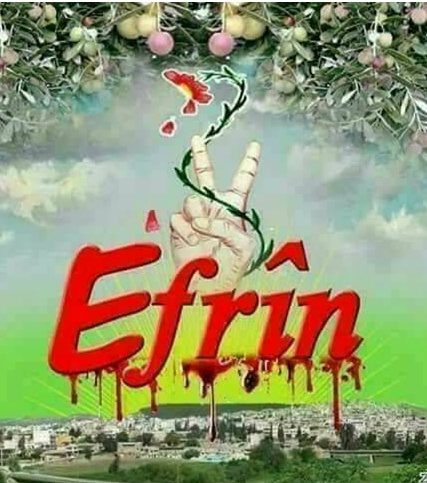 afrin afisa