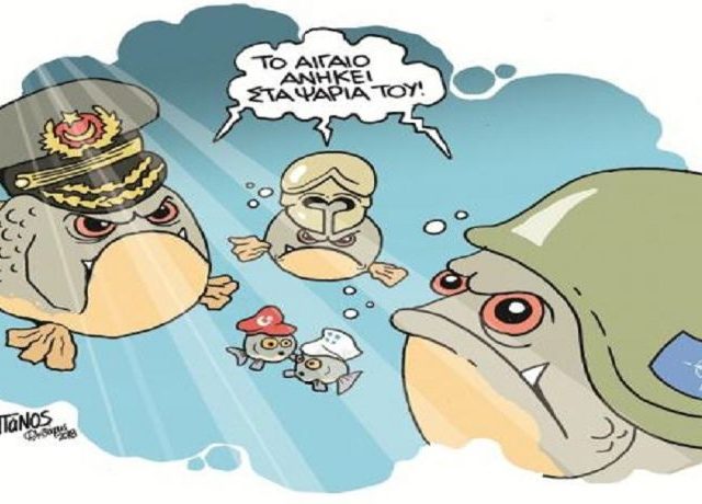 fish