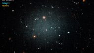 galaxias