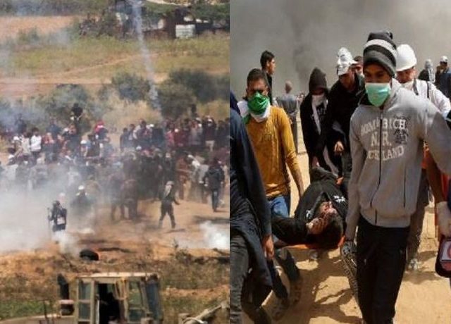 gaza