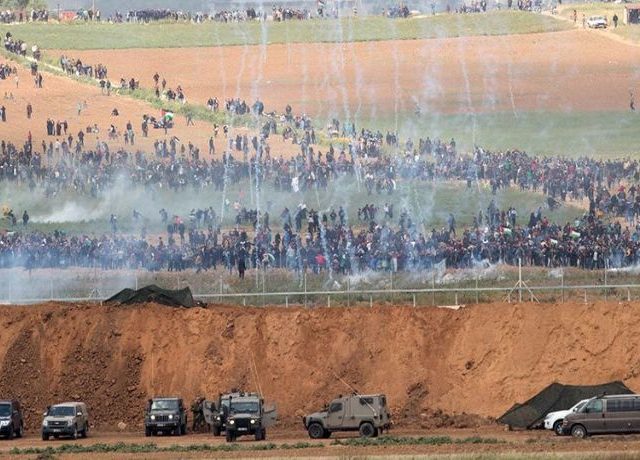 gaza