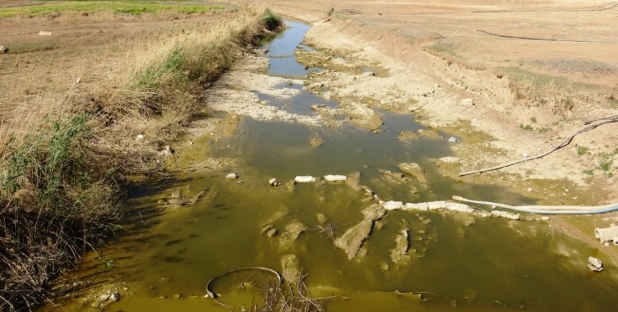 river-Belîx
