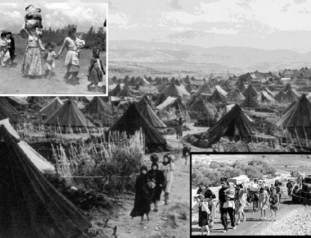 nakba17kolaz