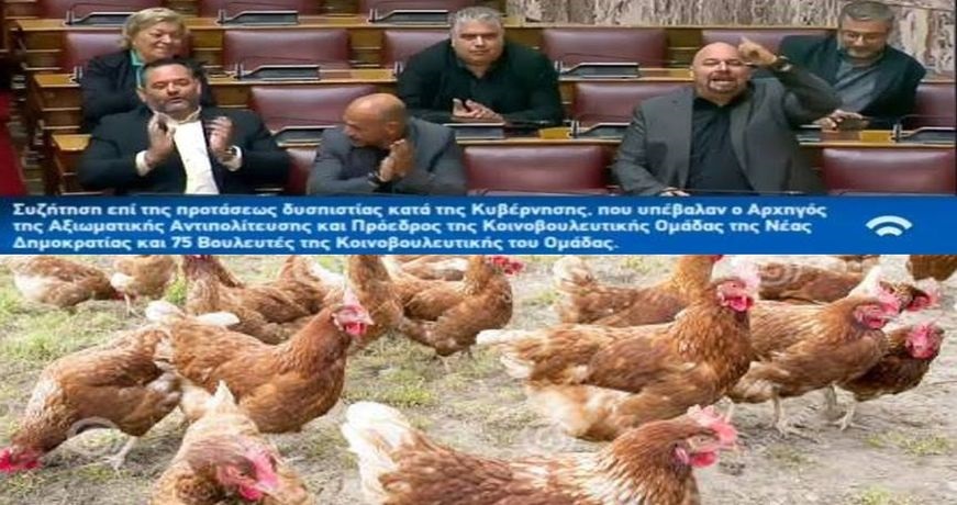 nazistokotes