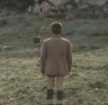 taviani