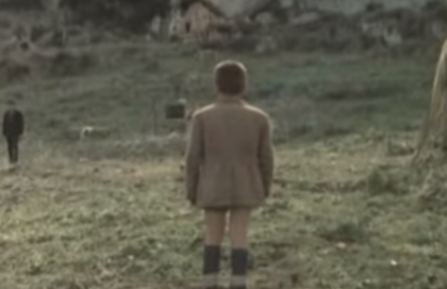 taviani