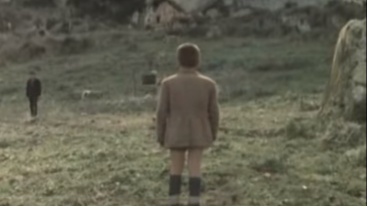 taviani