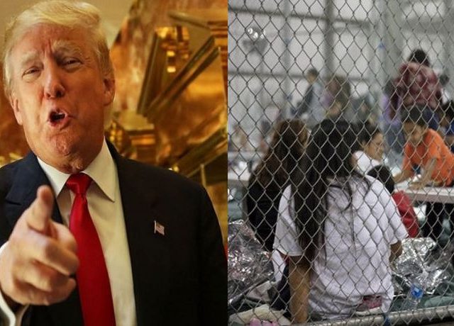 trump – paidia