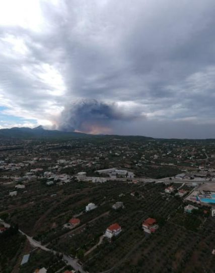 fire_loutraki_alepochori