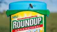 Monsanto ordered to pay 289 million US dollars in California Roundup cancer trial