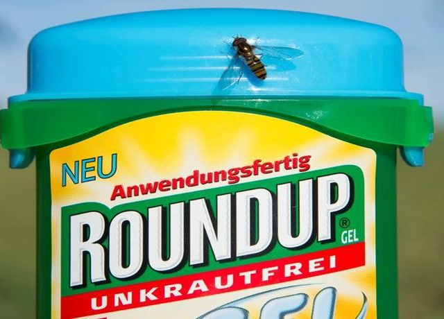 Monsanto ordered to pay 289 million US dollars in California Roundup cancer trial