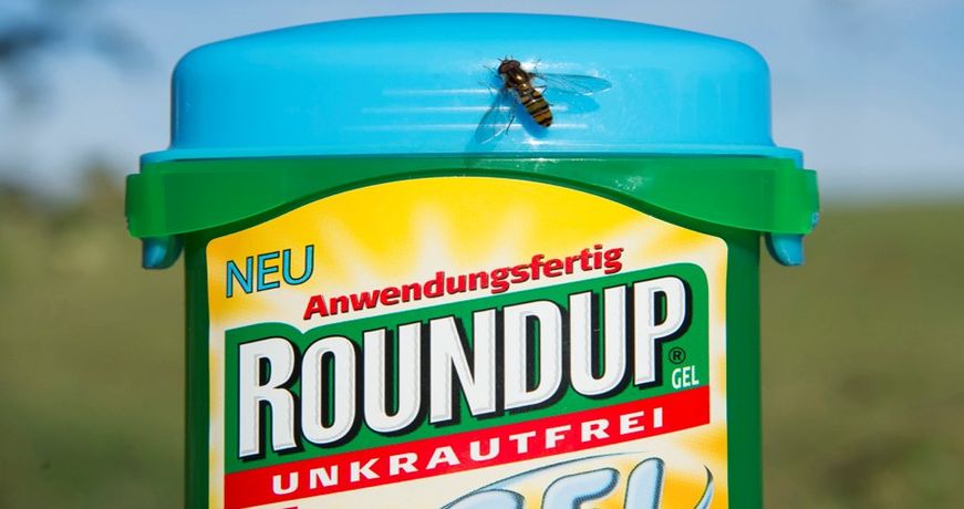 Monsanto ordered to pay 289 million US dollars in California Roundup cancer trial