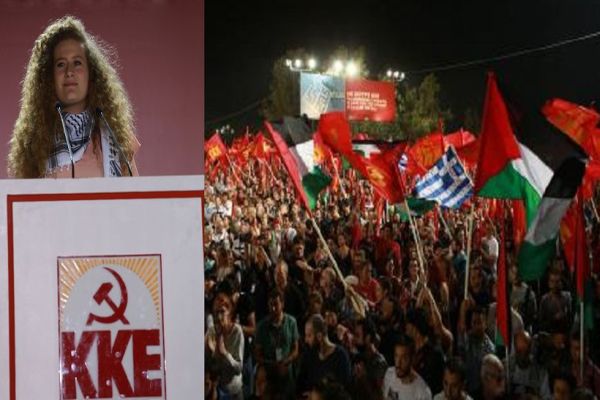 tamimi festival kke kne1