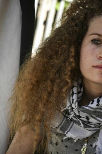 tamimi1