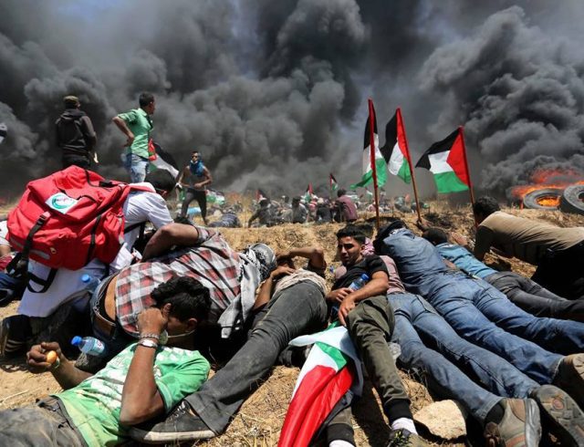 gaza