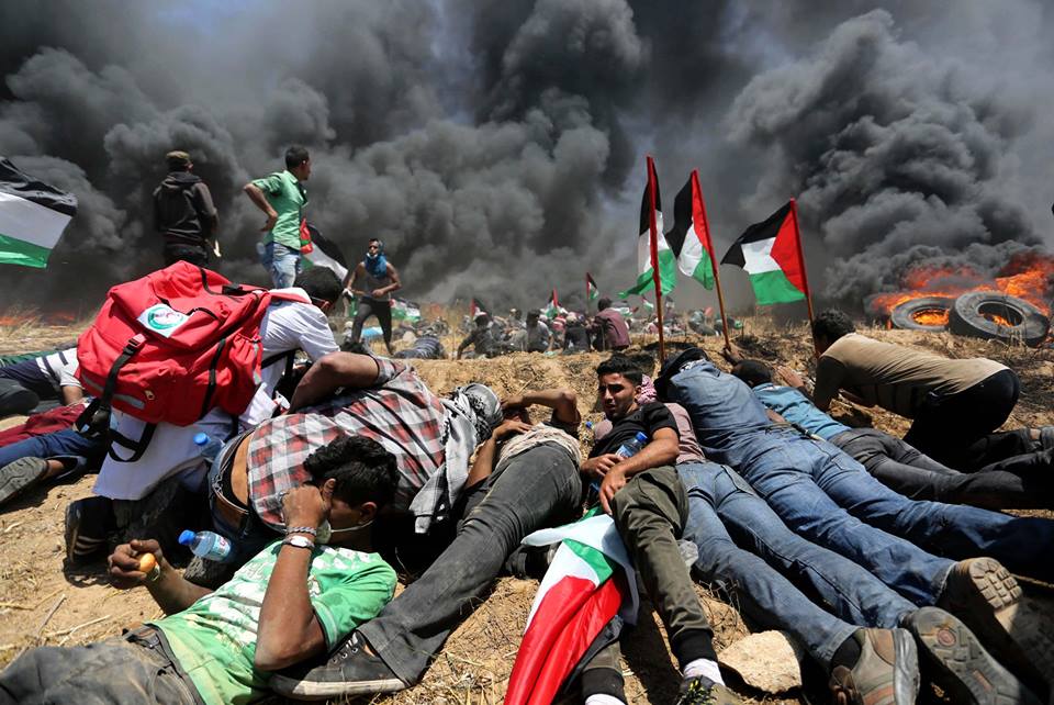 gaza