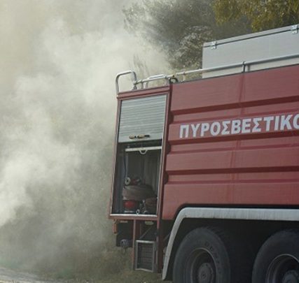 w13-114131pyrosvestikh00