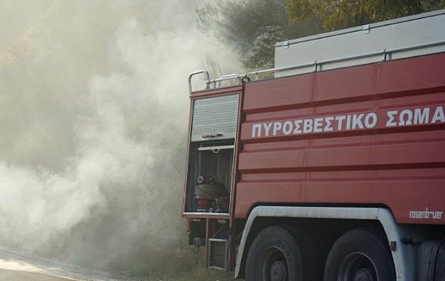 w13-114131pyrosvestikh00