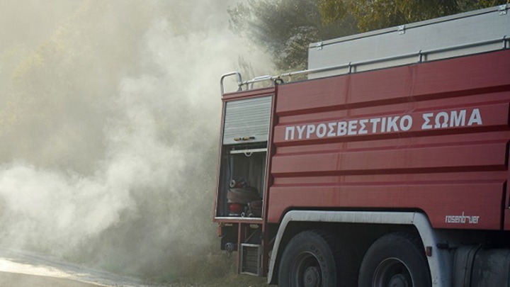w13-114131pyrosvestikh00
