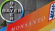 bayer-monsanto