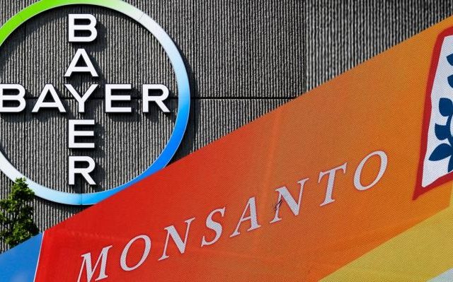 bayer-monsanto