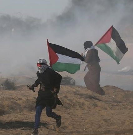 gaza