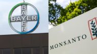 bayer-monsanto