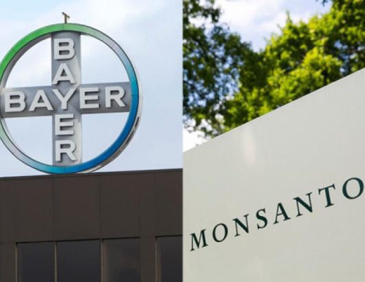 bayer-monsanto