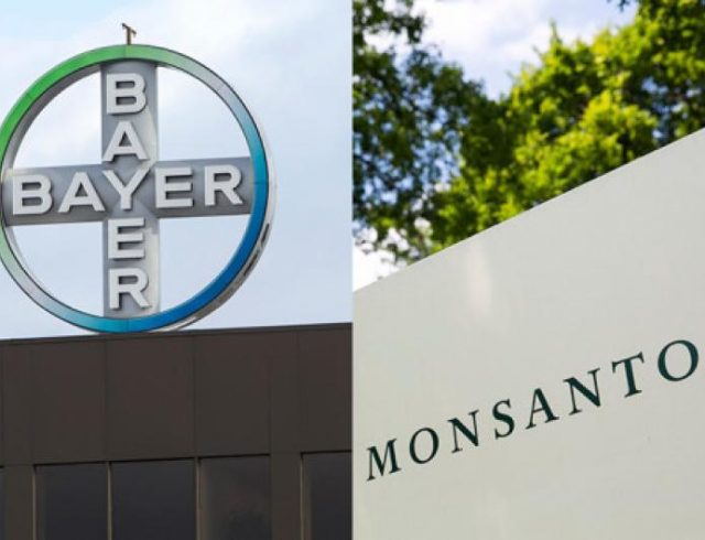 bayer-monsanto